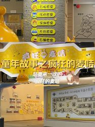 -疯狂的麦咭(长沙店)