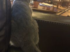 -雪茄客PURAVIDA俱乐部(上海店)