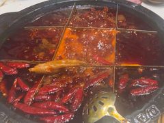 -卤校长老火锅(杨家坪直营店)