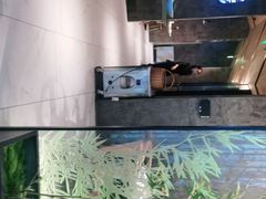 -茅庐毛血旺(临沂泰盛广场店)