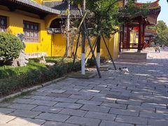 -江心屿景区