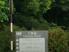 -大埔公路-马料水段香港中文大学(公交站)