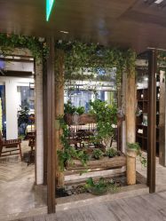 -青青一生美皮肤管理