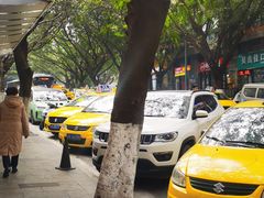 -山东水饺(南坪新街店)