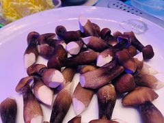 黑鸡枞菌-千岛蚝高压锅生蚝·人参火锅(白云万达店)