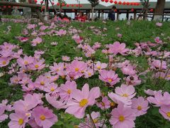 -仙岳公园