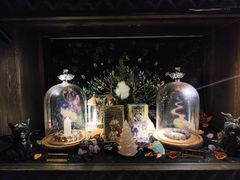 -雪灵魔法世界SHELLY’S TAROT(大良桂畔里店)