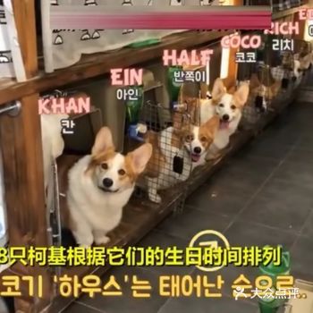 遵守秩序，排队、点名、发零食