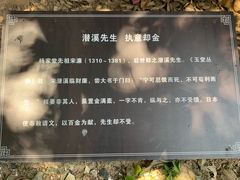 -杨家堂村