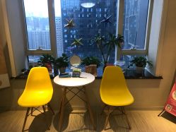 -净妍美肌专业净毛嫩肤连锁机构