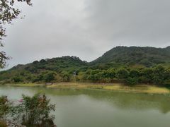 -风云岭森林公园