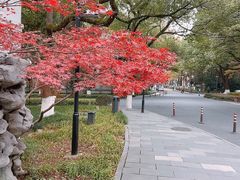 -浙江大学(玉泉校区)