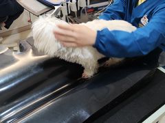 -御宝贝24h宠物医院·转诊中心·CT核磁血透中心(厦门总院)