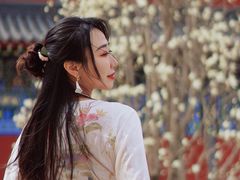 -护国法轮寺