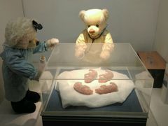 -成都泰迪熊博物馆