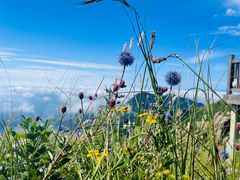 -白草畔自然风景区