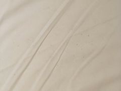 -天津津利华酒店