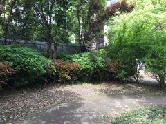 -上海崇明金茂凯悦酒店