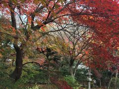 -常寂光寺