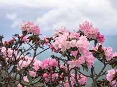 -光雾山旅游景区