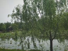 -日照海滨国家森林公园