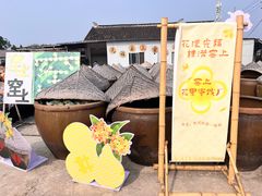 -苏州市吴中区光福窑上花果蜜饯厂