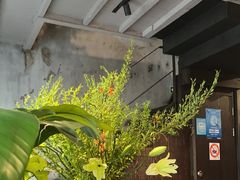 -Apollo·西班牙小酒馆(安福路店)