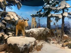 -陕西自然博物馆