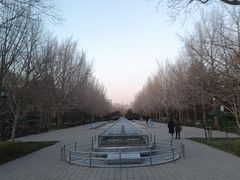 -玲珑塔公园