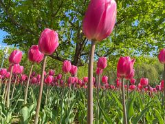 -长春公园(普阳街道)