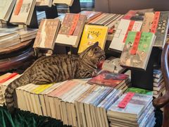 -正阳书局(西四南大街店)