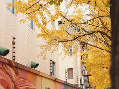 -奎星楼街