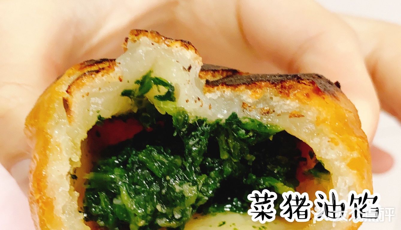 毛式玉兰饼