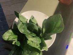 -九鼎轩脆毛肚火锅(南京东路店)