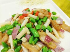 小炒藕尖-姚林轩