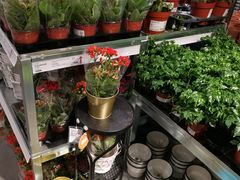 -宜家家居(哈尔滨商场店)