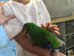 -石锅苗苗鱼(武汉首店)