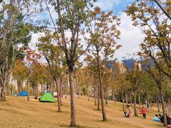 -牛岗山公园