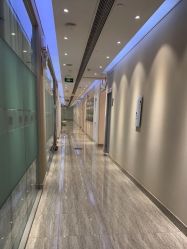 -上海首尔丽格医疗美容医院