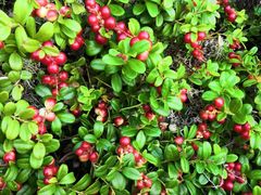 -多喜客海鲜烤肉自助烤场(百花红楼店)