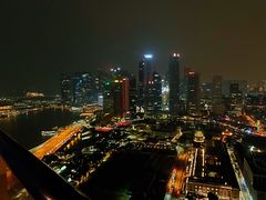 -新加坡瑞士史丹福酒店