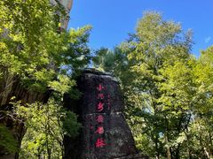 -汤旺河林海奇石景区