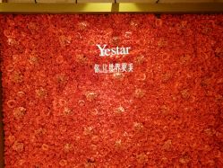 -Yestar 嘉兴艺星医疗美容医院