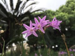 -上海虹桥迎宾馆