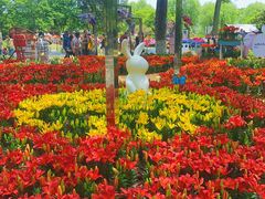 -上海鲜花港