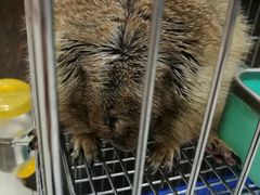 -乐宠宠物店(世纪金源店)