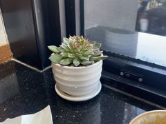 -Torch Coffee 炬点咖啡