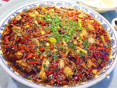 -新概念来凤鱼(璧山店)