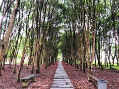 -味福记·本地特色菜(八一万达广场店)