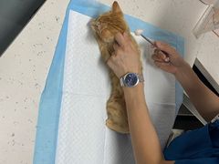 -贝来恩24H动物医院·转诊中心(稻香路店)